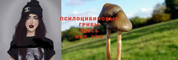 синтетический гашиш Балахна