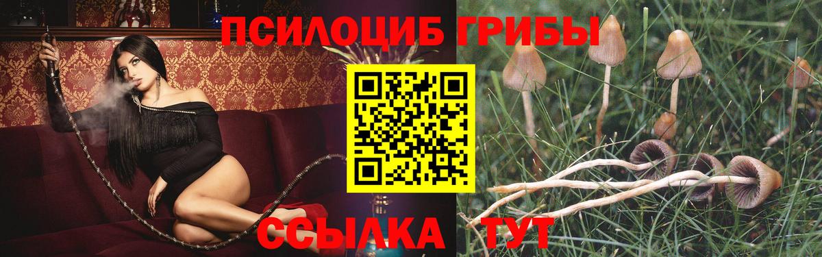 Галлюциногенные грибы прущие грибы Мурманск