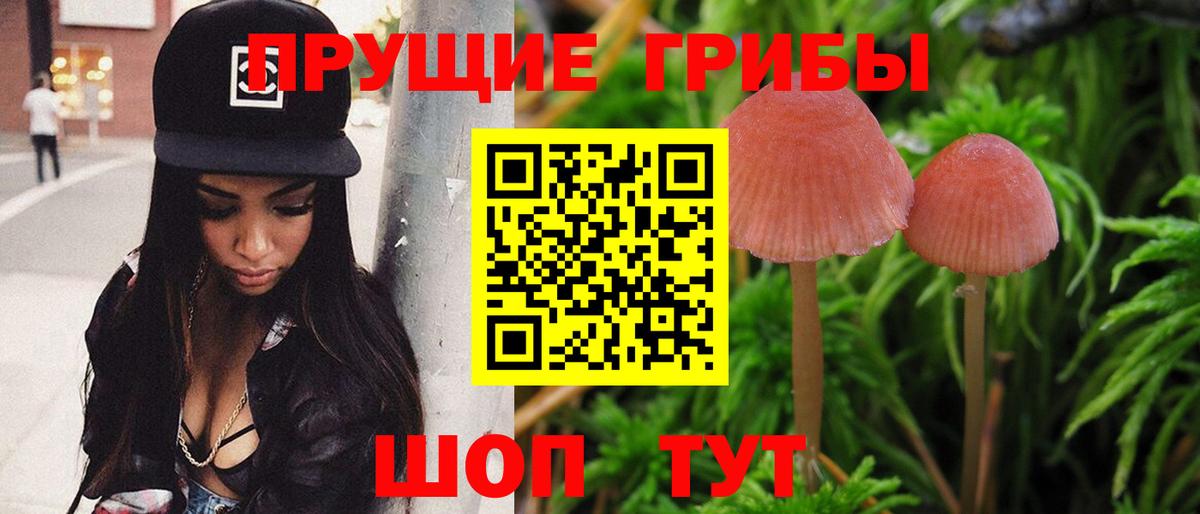 Галлюциногенные грибы мицелий  Вход с VPN  Мурманск 